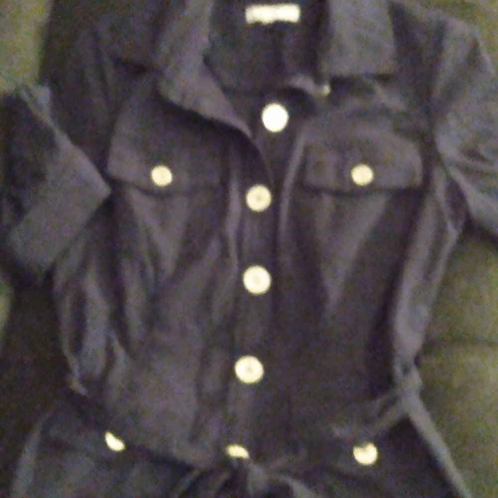 Sandra Darren Shirt Dress